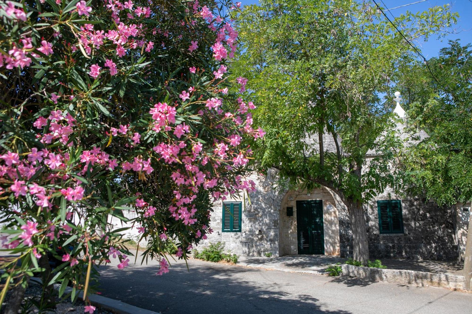 Angolo Di Puglia Locorotondo Exteriér fotografie