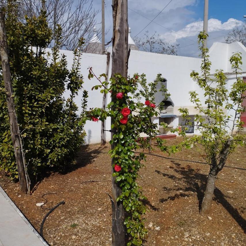 Angolo Di Puglia Locorotondo Exteriér fotografie